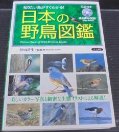 日本の野鳥図鑑 : 知りたい鳥がすぐわかる!
