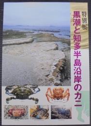 黒潮と知多半島沿岸のカニ : 特別展