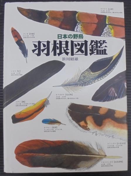 羽根図鑑 : 日本の野鳥 羽根図鑑 : 日本の野鳥(笹川昭雄 著) / 古本屋 ブックスパーチ