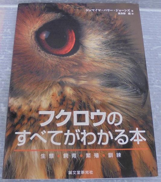 Amazon.co.jp: 盲目の梟 (白水Uブックス) : サーデク