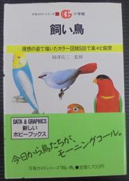 飼い鳥 : 理想の姿で描いたカラー図版500で楽々と飼育