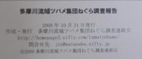 多摩川流域ツバメ集団ねぐら調査報告