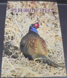 渡良瀬川の野鳥