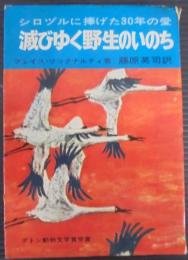 滅びゆく野生のいのち : シロヅルに捧げた30年の愛