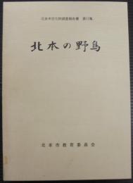 北本市文化財調査報告書