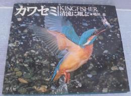 カワセミ : 清流に翔ぶ