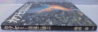 カワセミ : 清流に翔ぶ