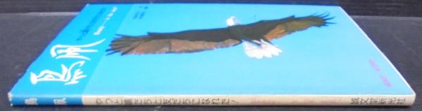 【中古】鳥凧 : やっと鴎たちと友だちになれた! Beauty...inthe wind!／後藤脩平 著／誠文堂新光社 鳥凧 : やっと鴎たちと友だちになれた! Beauty…in the wind