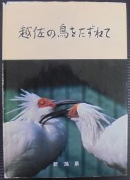 越佐の鳥をたずねて