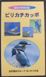 ピリカチカッポ　登別の野鳥図鑑