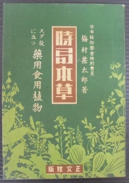 初心者のためのソフトボール/恒文社/鈴木征