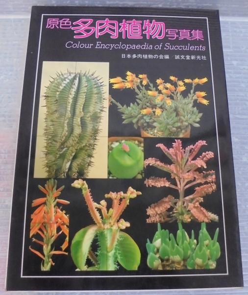 【中古-非常に良い】 原色多肉植物写真集 原色多肉植物写真集 中古-非常に良い : Encyclopaedia Colour 絶版