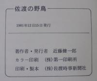 佐渡の野鳥
