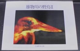 雄物川の野鳥Ⅱ