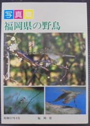 写真集 福岡県の野鳥