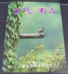 上越の野鳥