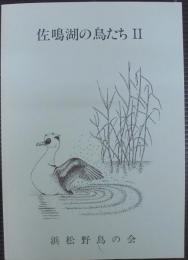 佐鳴湖の鳥たち　2