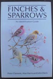 ＦＩＮＣＨＥＳ　＆　SPARROWS