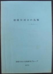 相模川河口の鳥類　その1