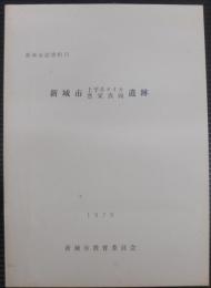 新城市上平井タイカ・豊栄真向遺跡