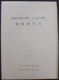 旗頭山尾根古墳群・大入山古墳群発掘報告書