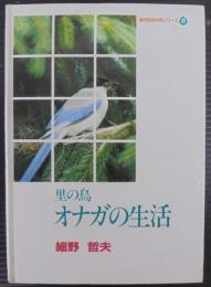 里の鳥オナガの生活