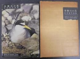 多摩川の鳥 : 田村栄写真集