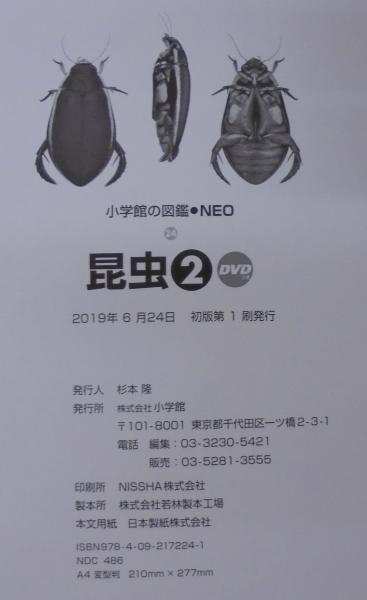 J15-014 科学図鑑2 昆虫Ⅰ 株式会社世界文化社 綴じ穴、破れあり