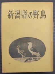 新潟県の野鳥