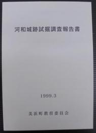 河和城跡試掘調査報告書