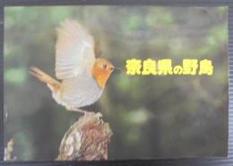 奈良県の野鳥