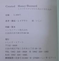 ミツバチスタジオから見えてきたもの