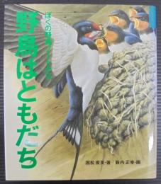 野鳥はともだち : ぼくの野鳥ノートから