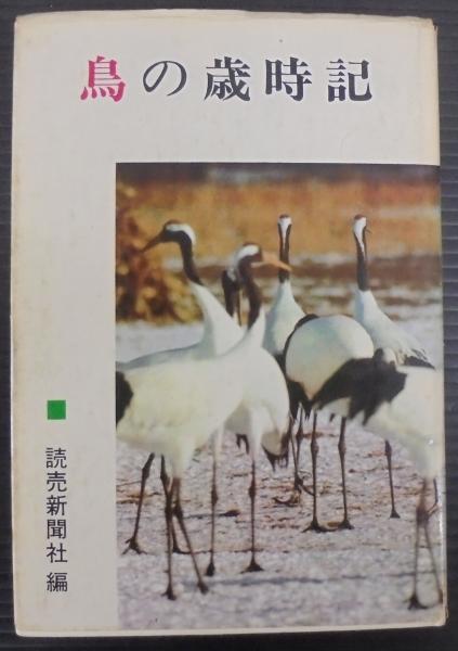 日本産カミキリムシ検索図説(大林延夫 ほか編) / あじさい堂書店