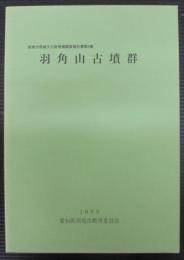 羽角山古墳群　　西尾市埋蔵文化財発掘調査報告書第8集