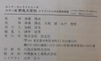 野鳥大百科 : カラー版