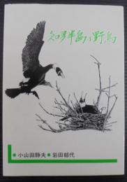 知多半島の野鳥　知多文化叢書3