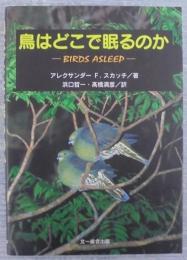 鳥はどこで眠るのか