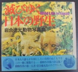 滅びゆく日本の野性 : 岩合徳光動物写真集
