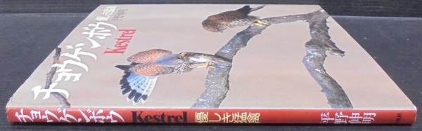 50% OFF 以上 - レディース福袋 チョウゲンボウ : 優しき猛禽(平野伸明 著) / 古本、中古本、古 自然科学と技術
