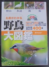 名前がわかる野鳥大図鑑 : 野山 水辺 海 街