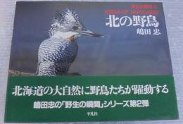 北の野鳥