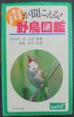 声が聞こえる!野鳥図鑑