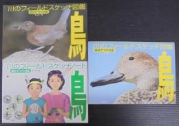 自分でつくれる 川のフィールドスケッチ図鑑 鳥