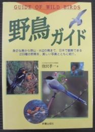 野鳥ガイド