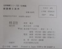 街路樹と並木