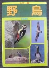 野鳥 : カラー版