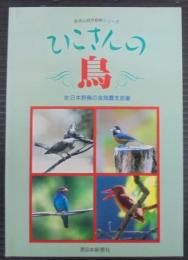 ひこさんの鳥