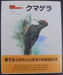 クマゲラ