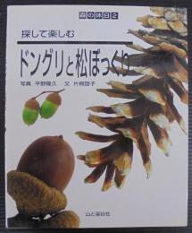 探して楽しむドングリと松ぼっくり